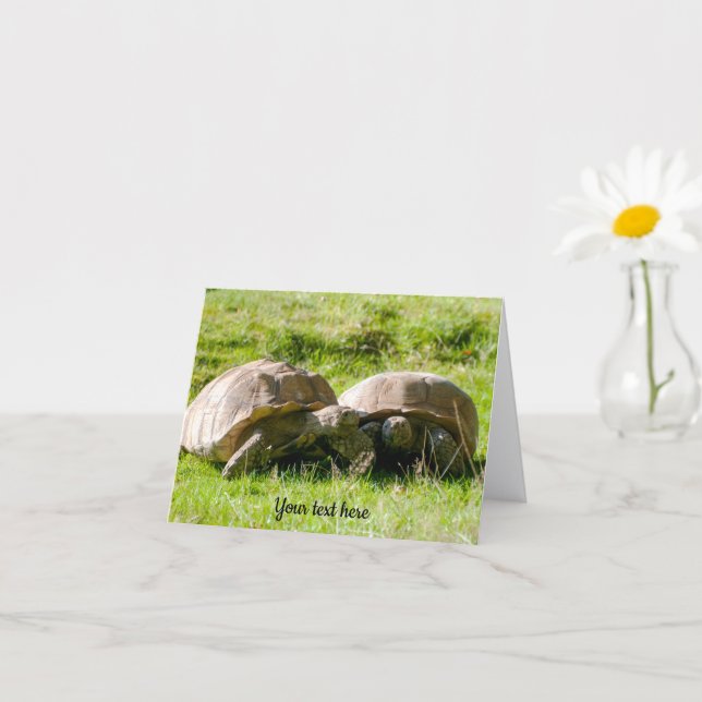 Two Tortoises - Best Friends! Greeting Card (Small Plant)