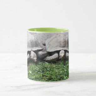 Two tortoises feeding mug