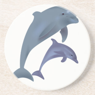 Two Tropical dolphins jumping beside each other Coaster