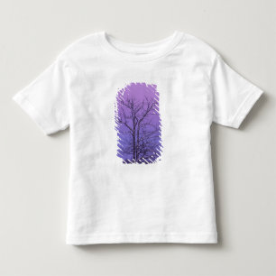 Two Trunked Tree at Sunrise; Chippewa County, Toddler T-Shirt