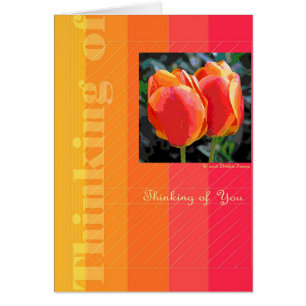 Two Tulips by Debbie Jensen