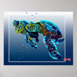 Two Turtles Poster