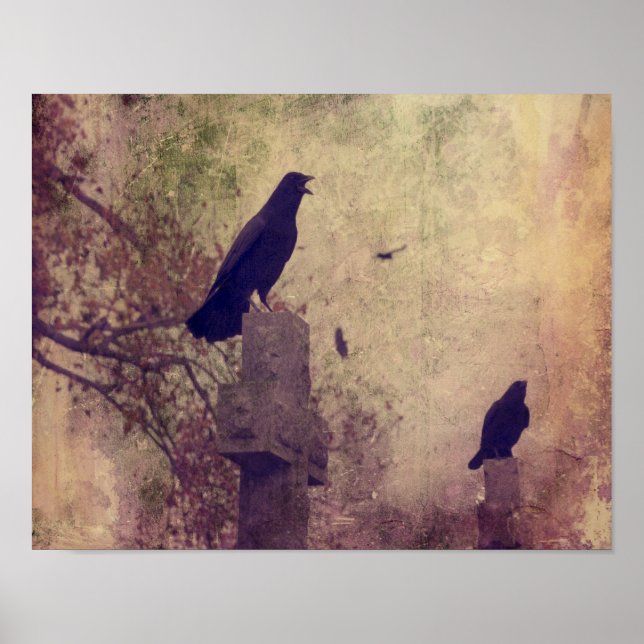 Two Very Cool Ravens Poster (Front)
