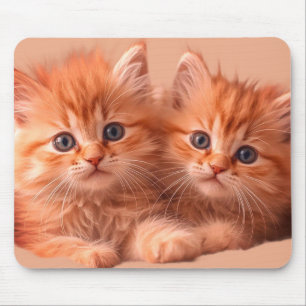 Two Very Cute Kittens on a Laptop Desktop Tablet Mouse Mat