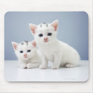 Two very young white kittens stare inquisitively mouse mat