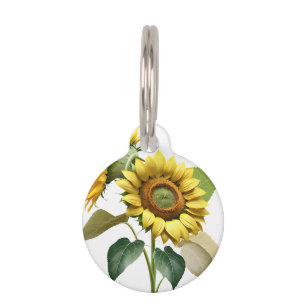 Two Vibrant Sunflowers with Lush Green Leaves Pet Tag