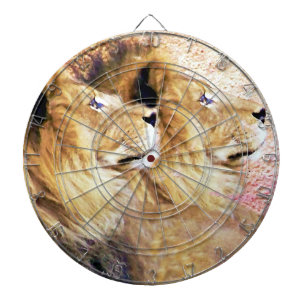 Two Views_ Dartboard