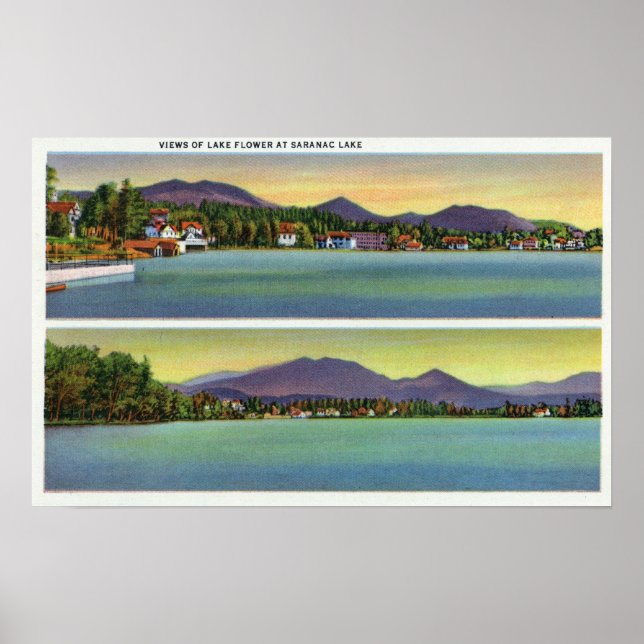 Two Views of Lake Flower Poster (Front)
