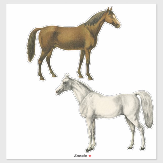 Two Vintage Horses (Sheet)