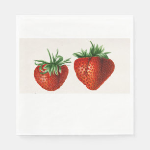 Two Vintage Red Strawberries Illustration Napkin