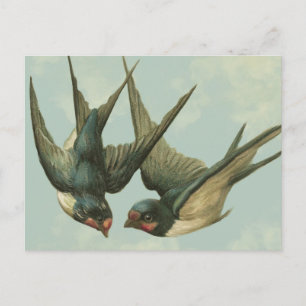Two Vintage Swallows Postcard
