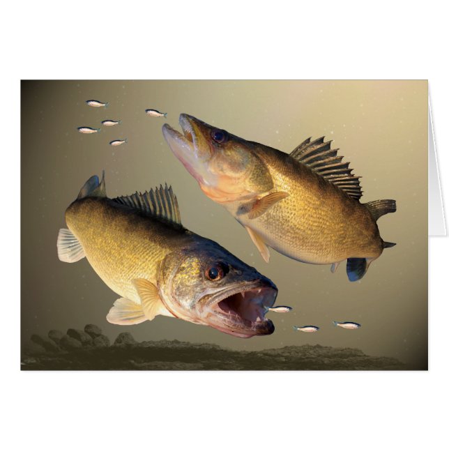 Two Walleye Feeding (Front Horizontal)