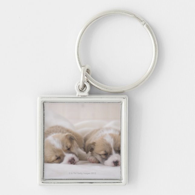 Two Welsh Corgi Sleeping Key Ring (Front)