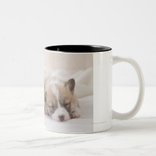 Two Welsh Corgi Sleeping Two-Tone Coffee Mug