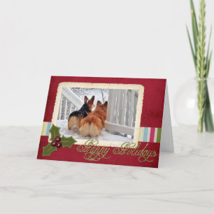 Two Welsh Corgis in the Snow with Holiday Frame Card