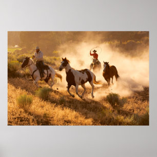 Two western cowboys riding horses, roping wild hor poster