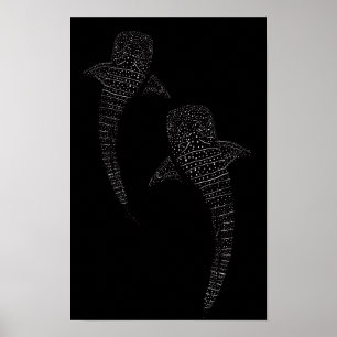 Two Whale Shark Black and White Poster