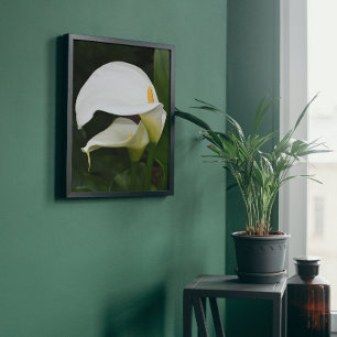 Two White Calla Lilies Floral Photo Print