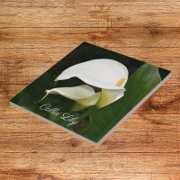 Two White Calla Lilies Floral