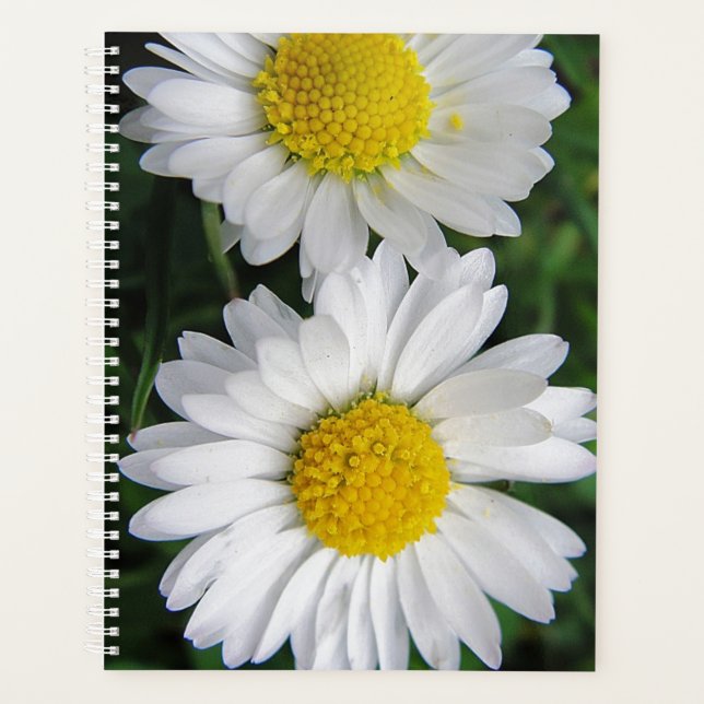 Two white daisies planner (Front)
