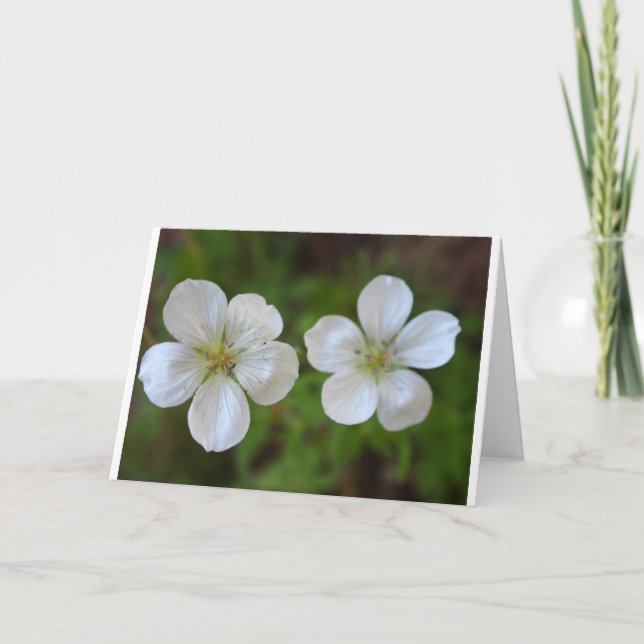 Two White Flowers Greeting Card (Front)
