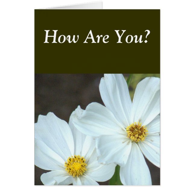 TWO WHITE FLOWERS /HOW ARE YOU? (Front)