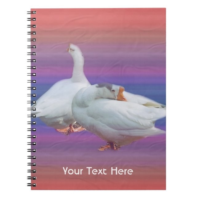 two white geese in colour  background. notebook (Front)