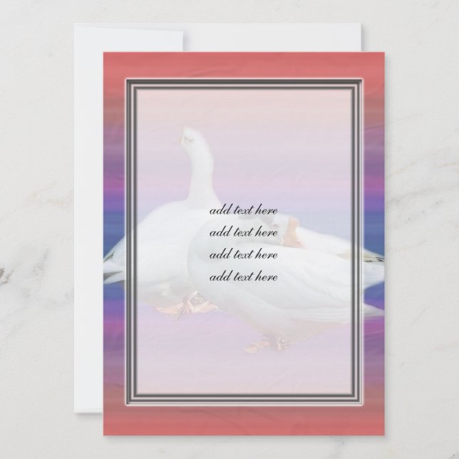 two white geese in fancy background (Front)
