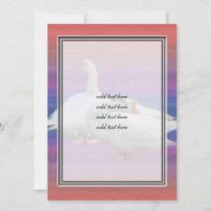 two white geese in fancy background