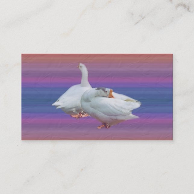 two white geese in fancy  background. business card (Front)