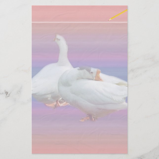 two white geese in fancy  background stationery (Front)