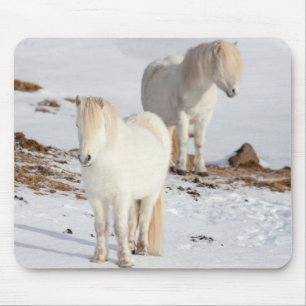 Two White Icelandic Horses Mouse Mat