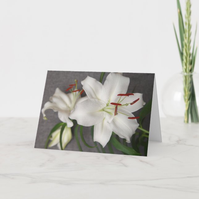 Two White Lilies Card (Front)