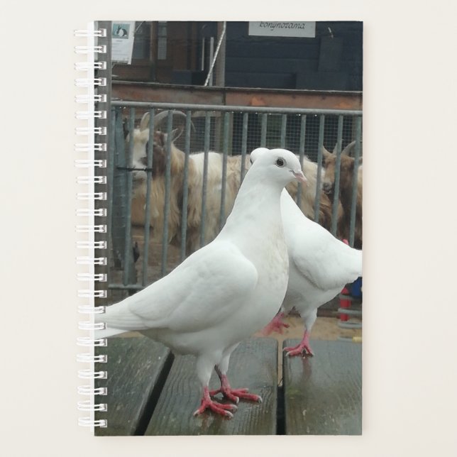 Two white peace doves. planner (Front)