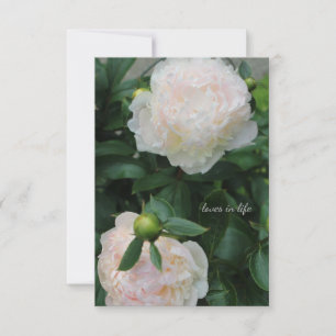Two White Peonies Card