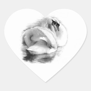 Two White Swans Heart Sticker