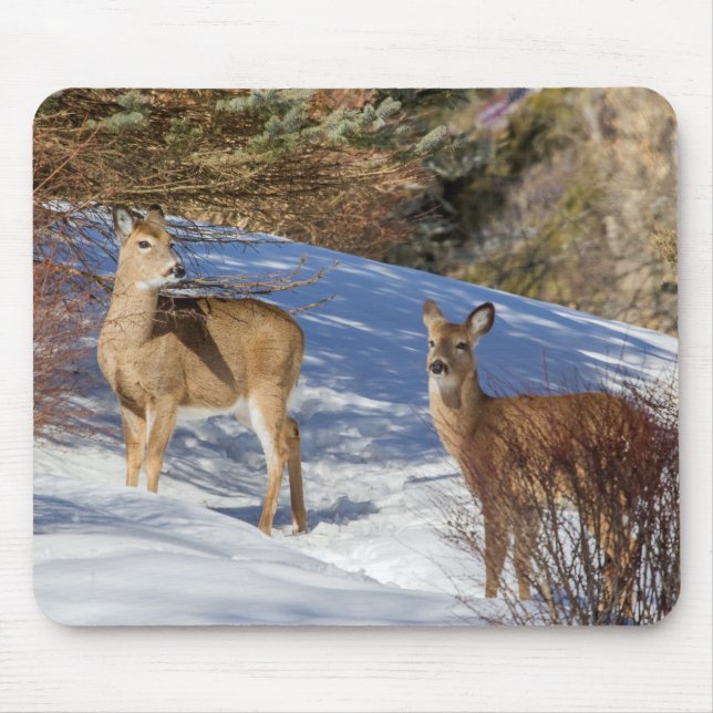 Two White-tailed Deer in Winter Mouse Mat (Front)