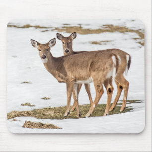 Two White-tailed Deer On Alert Mouse Mat