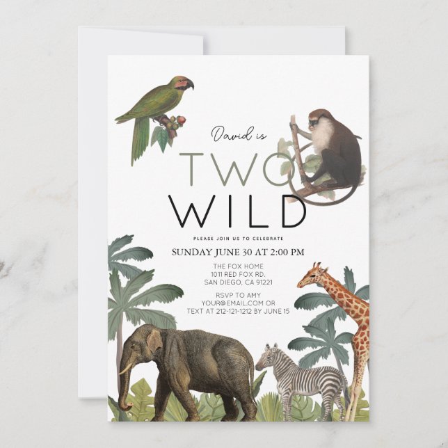 Two Wild African Safari Animals 2nd Birthday Invitation (Front)
