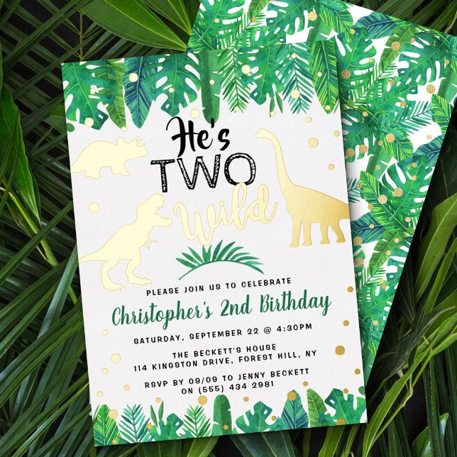 Two Wild Dinosaur Boys 2nd Birthday Real (Creator Uploaded)