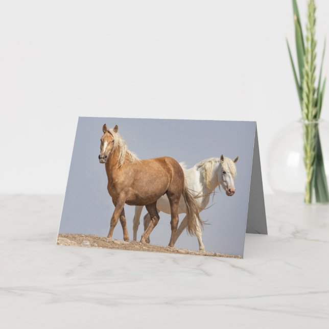 Two Wild Mares Wild Horse Greeting Card (Front)