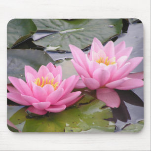 Two wild pink waterlilies in a pond mouse mat