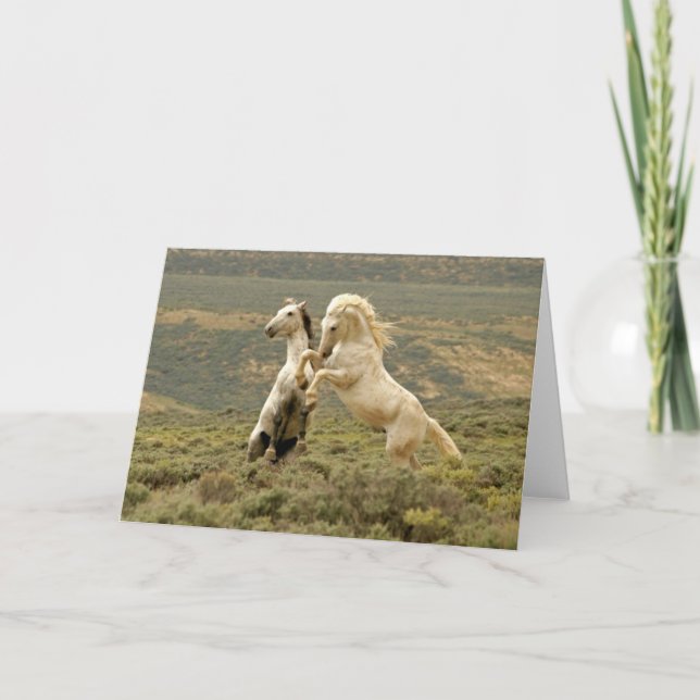 Two Wild Stallions Fight Card (Front)