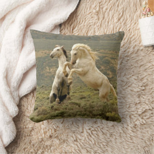 Two Wild Stallions Fight Cushion
