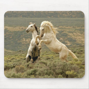 Two Wild Stallions Fight Mouse Mat