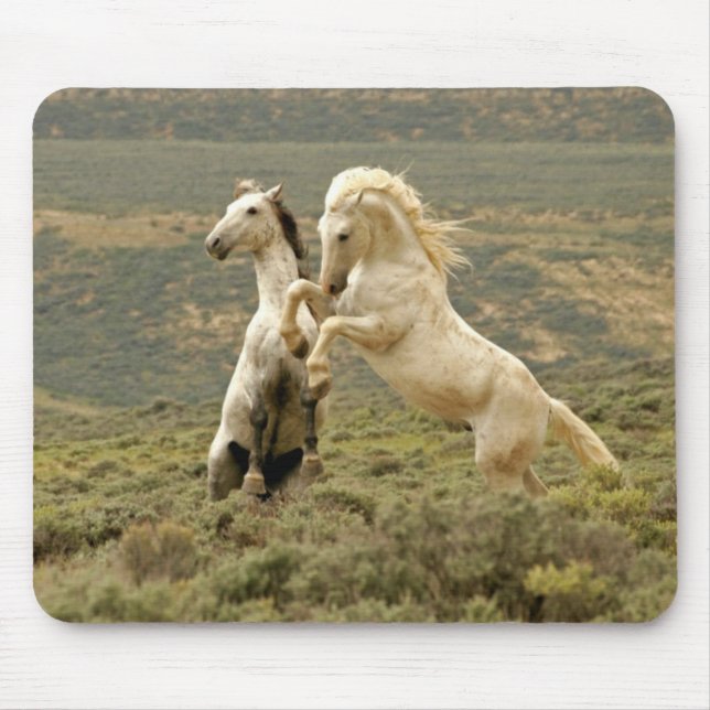 Two Wild Stallions Fight Mouse Mat (Front)