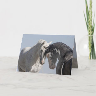 Two Wild Stallions Meet - Wild Horse Greeting Card