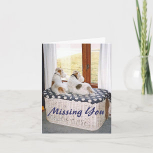 Two Wire Fox Terriers In The Window Card