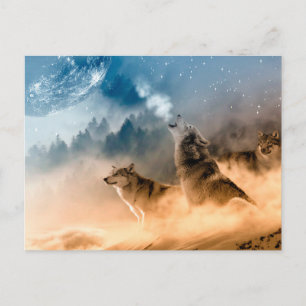 Two wolves howl at the full moon in forest postcard