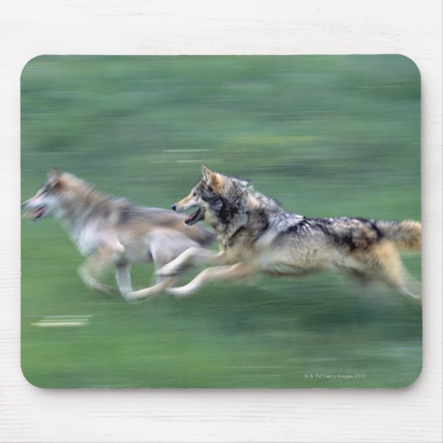 Two wolves in mountain meadow mouse mat (Front)